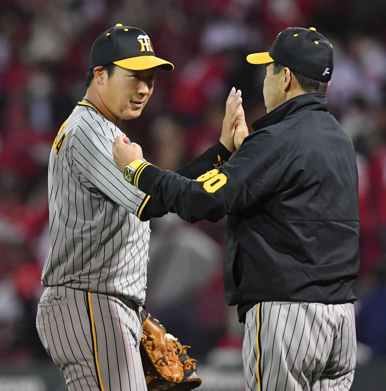 広島対阪神　広島に勝利し、岡田監督（右）とタッチを交わす大山（撮影・岩下翔太）