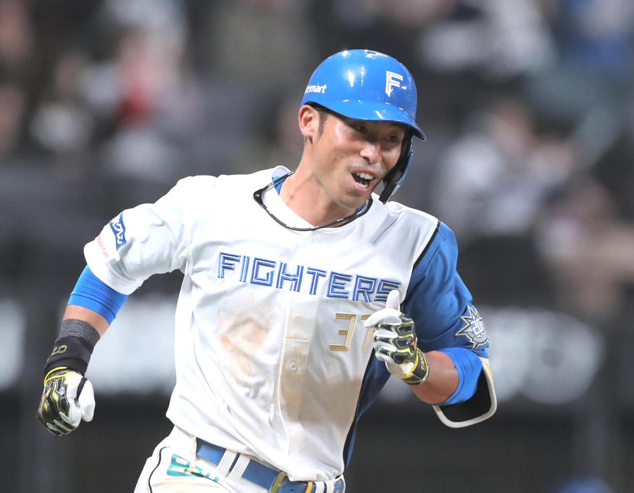 日本ハム江越大賀（2023年3月15日撮影）