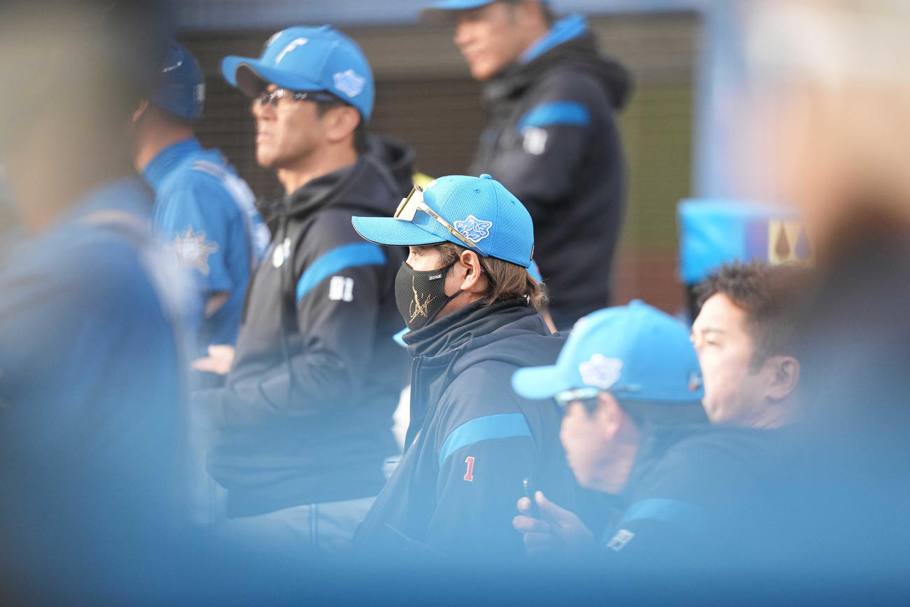 ロッテ対日本ハム　ベンチから試合を見る日本ハム新庄監督（中央）（撮影・鈴木みどり）