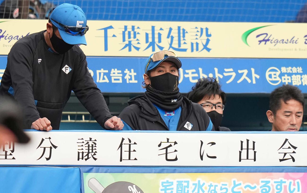 ロッテ対日本ハム　ベンチから試合を見る日本ハム新庄監督（中央）（撮影・鈴木みどり）