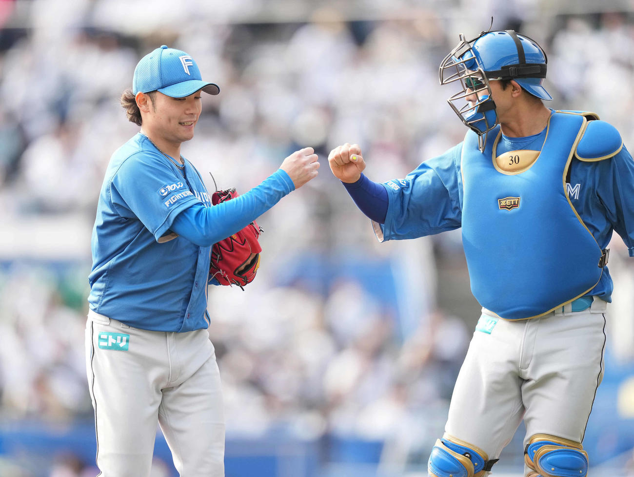 ロッテ対日本ハム　5回裏を終え、宇佐見真（右）とタッチを交わす日本ハム伊藤（撮影・鈴木みどり）