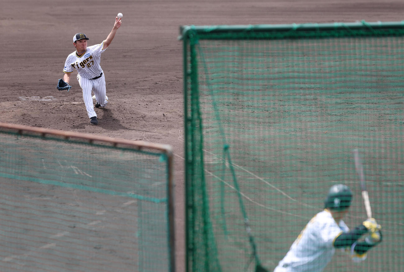シート打撃に登板した阪神伊藤将。打者豊田（撮影・前田充）