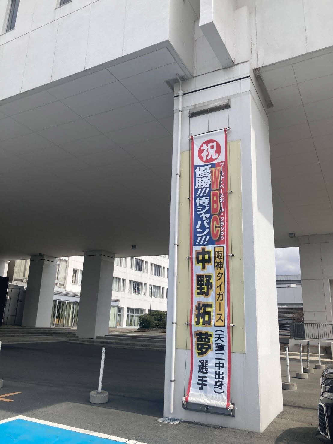 山形・天童市の、阪神中野のWBC優勝を祝福する懸垂幕（天童市提供）