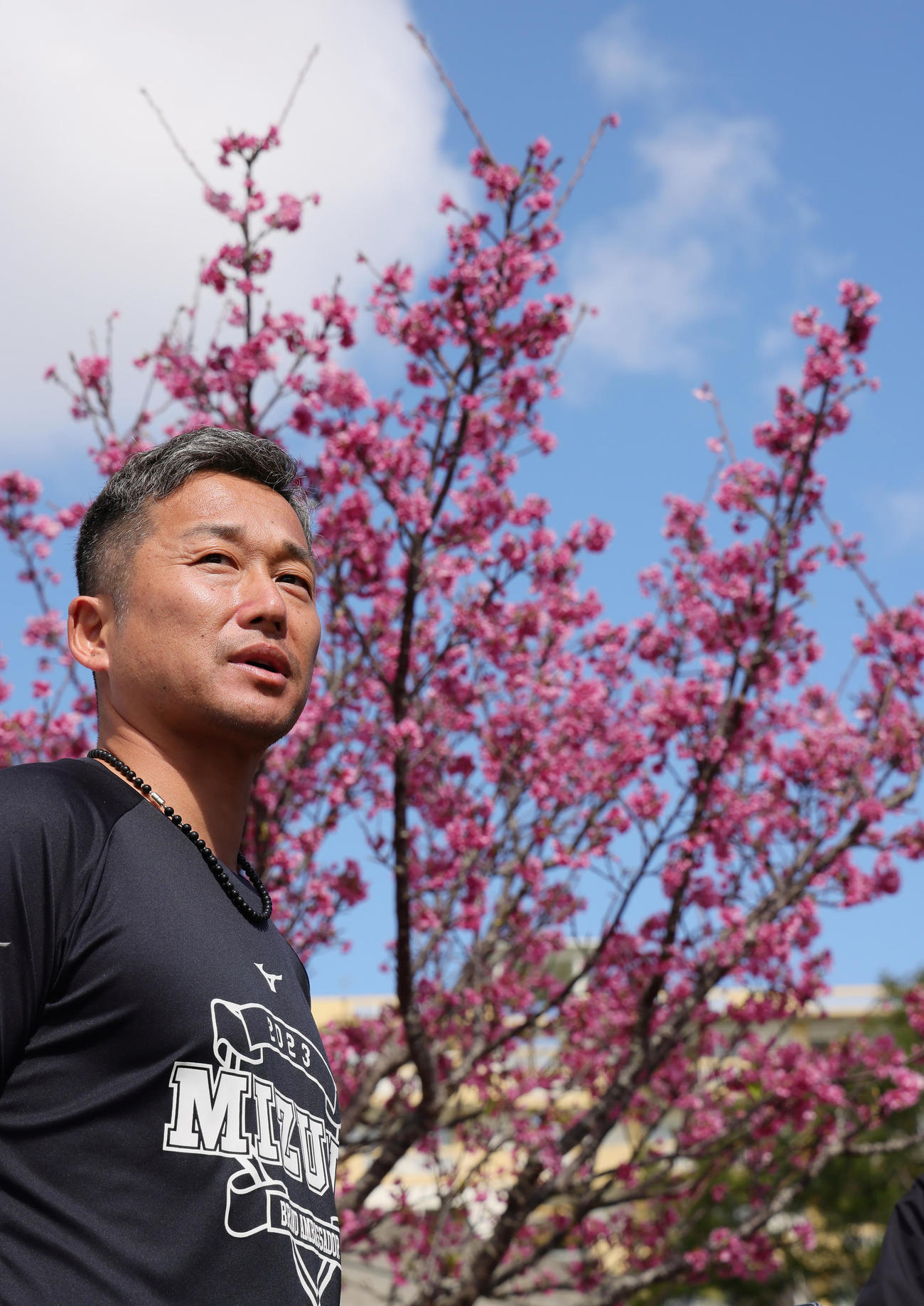 取材に応じるヤクルト石川（2023年2月18日撮影）