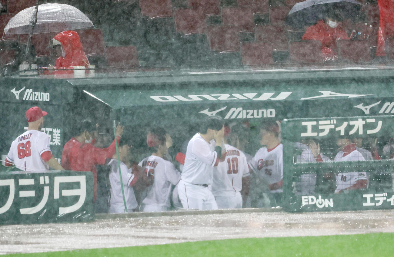 広島対阪神　コールド勝利しベンチでハイタッチする新井監督ら広島ナイン（撮影・加藤哉）
