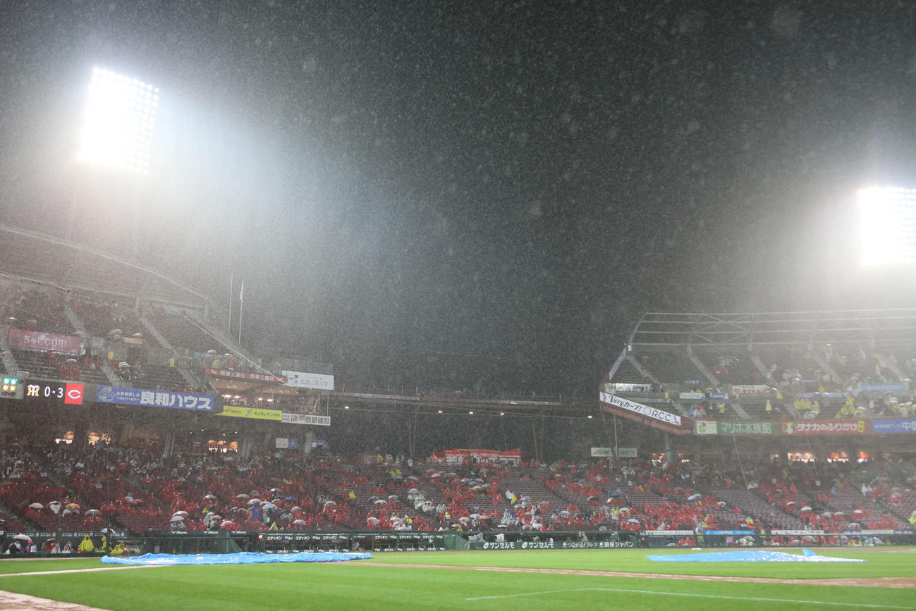 広島対阪神　大雨で試合が中断（撮影・加藤孝規）
