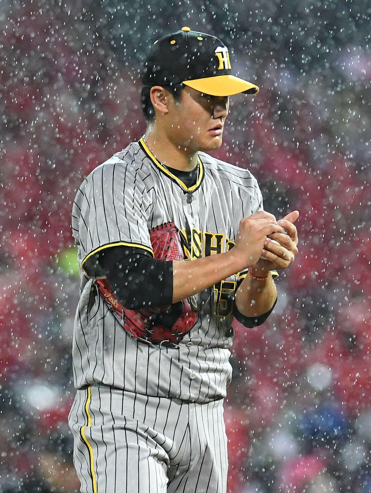 広島対阪神　2回裏、雨が強まりロジンを手になじませる西純（撮影・岩下翔太）