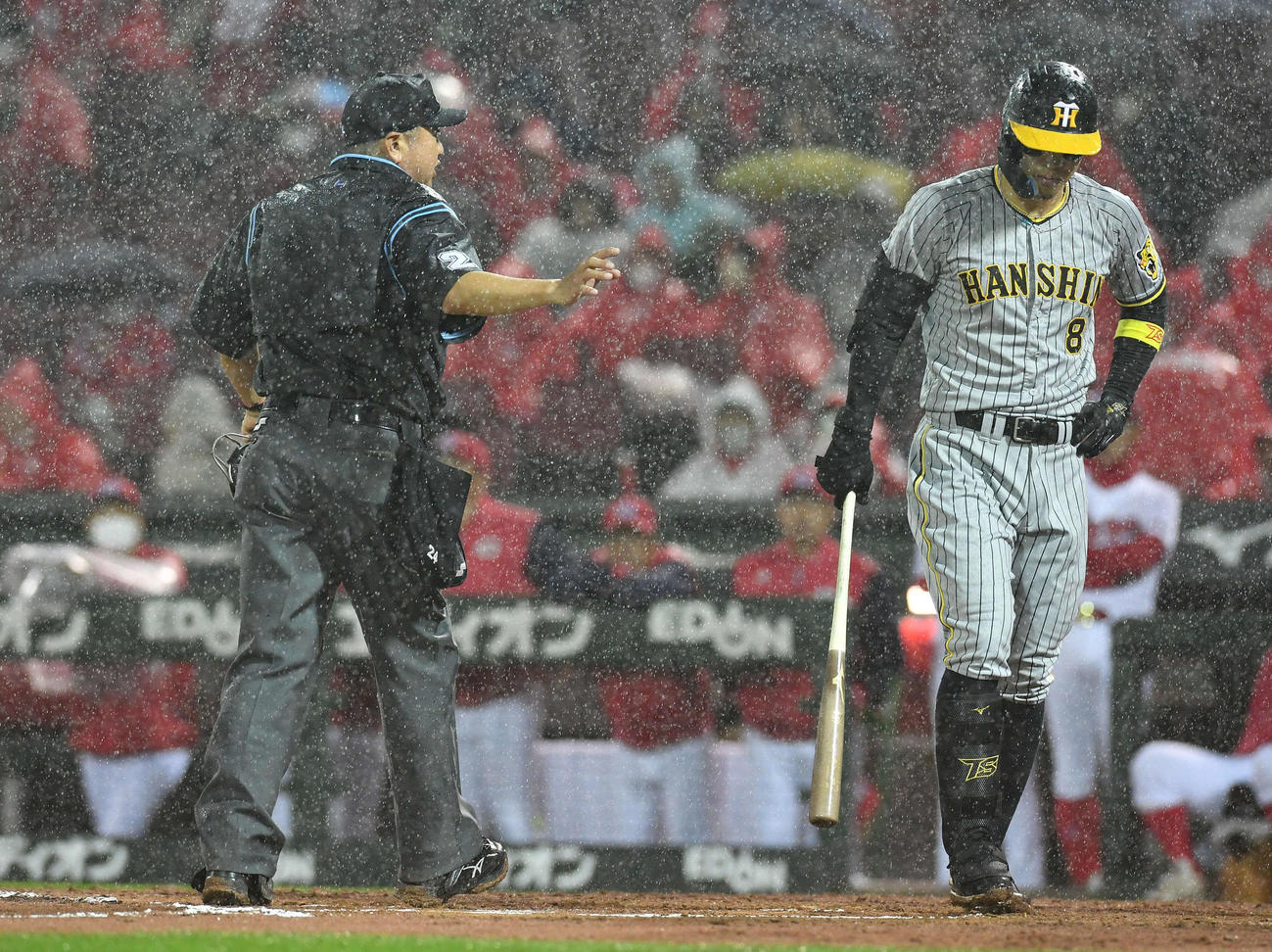 広島対阪神　6回表阪神無死、佐藤輝（右）の打席中に雨が強まり、試合を中断する嶋田主審（撮影・岩下翔太）
