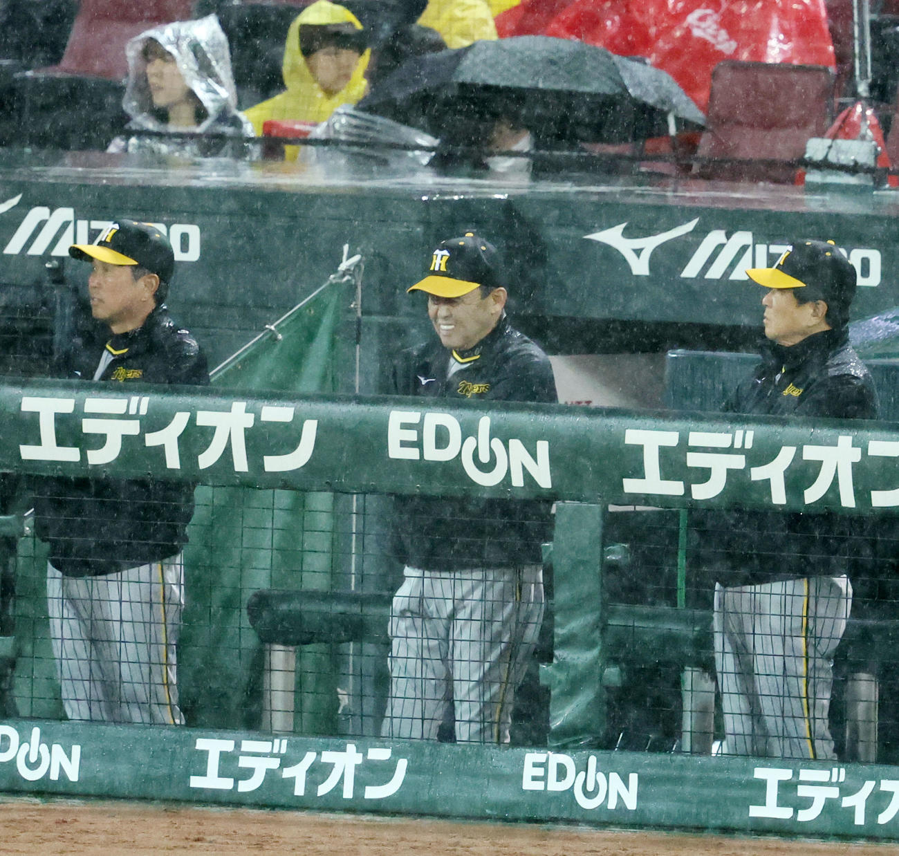 広島対阪神　3回表、雨が強く降る中ベンチの最前列でグラウンドを見る岡田監督（撮影・加藤哉）