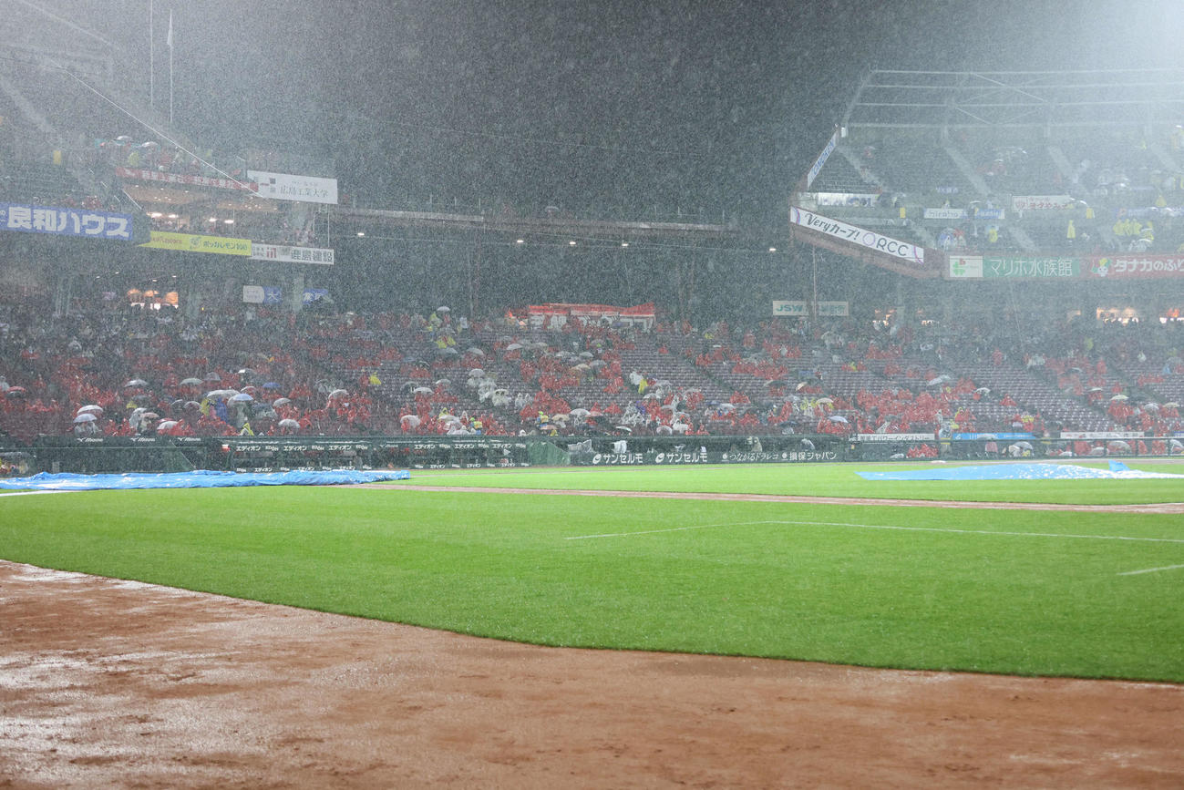 広島対阪神　大雨で試合が中断（撮影・加藤孝規）