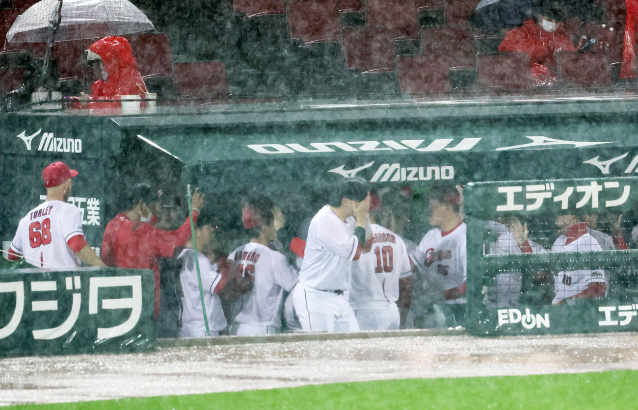 阪神に降雨コールド勝ちしベンチでハイタッチする新井監督ら広島ナイン（撮影・加藤哉）