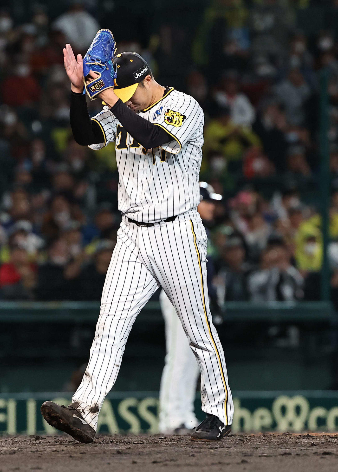 阪神対ヤクルト　4回表ヤクルト1死一、二塁、青柳はオスナを遊撃併殺打に打ち取りグラブを叩く（撮影・上田博志）