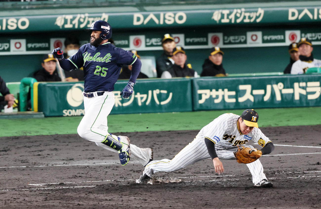 阪神対ヤクルト　5回表ヤクルト1死、サンタナ（左）は遊内野安打を放って一塁け駆け込むとき大山の左足と接触（撮影・加藤哉）