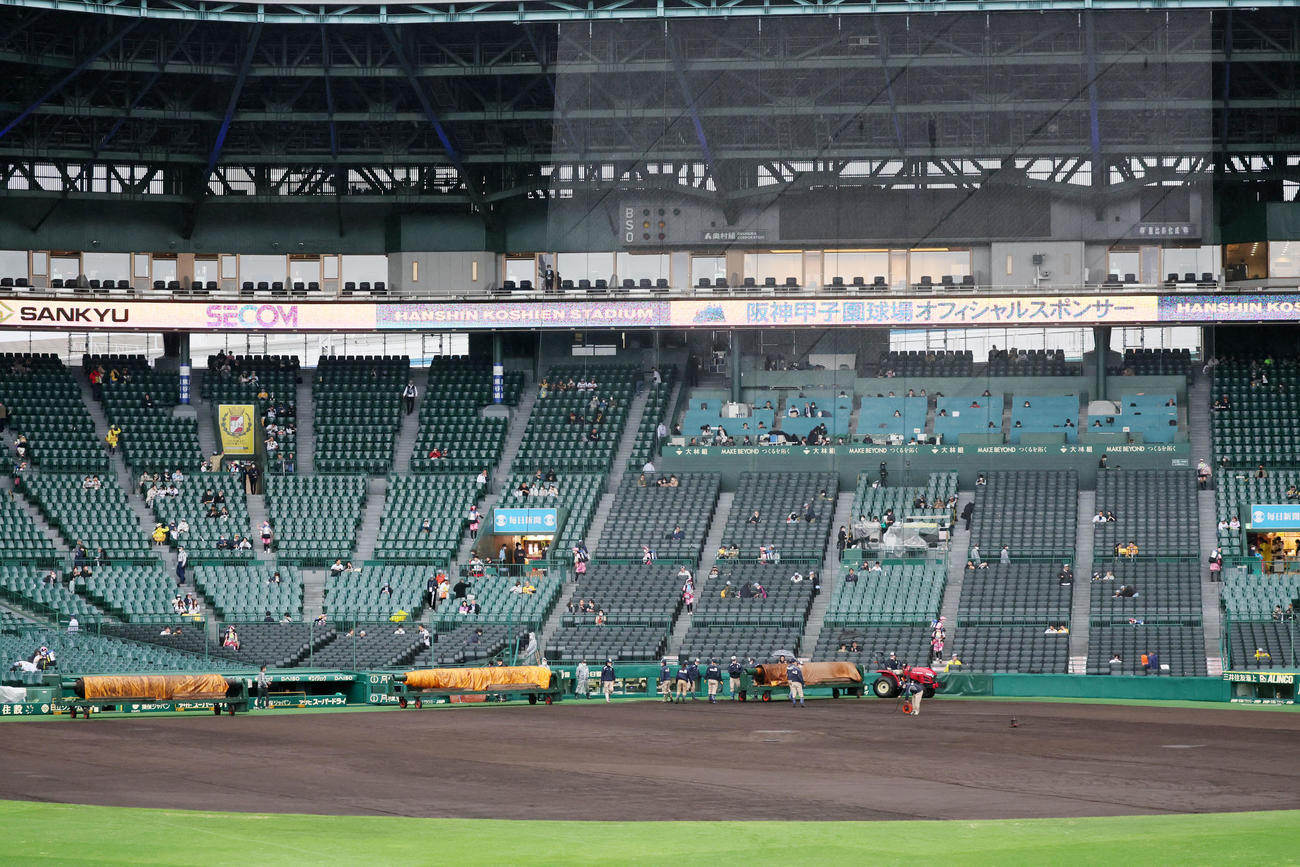 阪神対ヤクルト　午後5時すぎには完全にグラウンドが姿を現した（撮影・加藤哉）