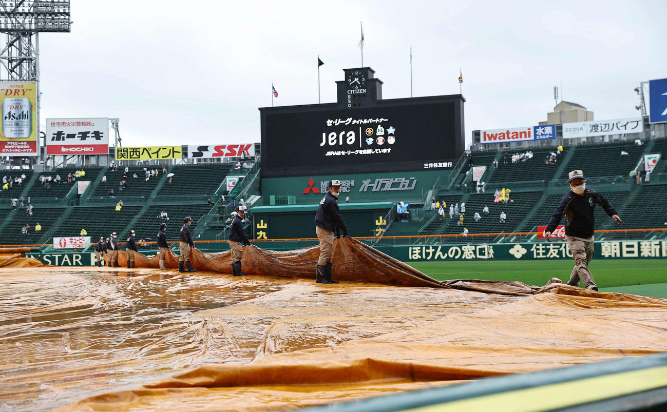 阪神対ヤクルト　雨が小降りになり阪神園芸の整備が始まる甲子園球場（撮影・上田博志）