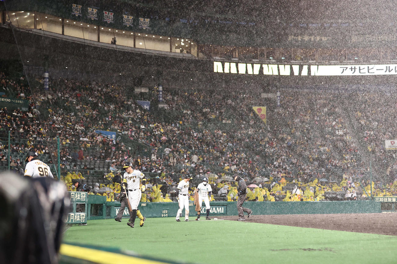 阪神対ヤクルト　1回裏阪神2死一塁、大雨で中断となりベンチに引き揚げる佐藤輝（撮影・上田博志）