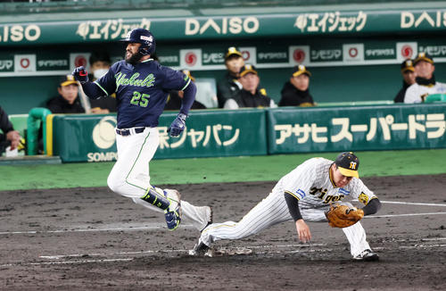 阪神対ヤクルト　5回表ヤクルト1死、サンタナ（左）は遊内野安打を放って一塁け駆け込むとき大山の左足と接触（撮影・加藤哉）