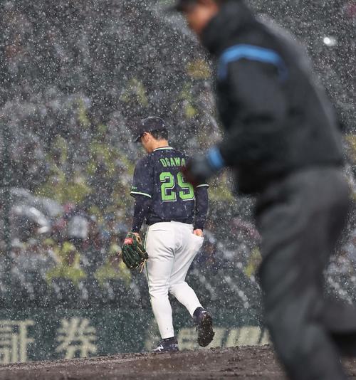 阪神対ヤクルト　1回裏阪神2死一塁、大雨で中断となりベンチに引き揚げる小川（撮影・上田博志）