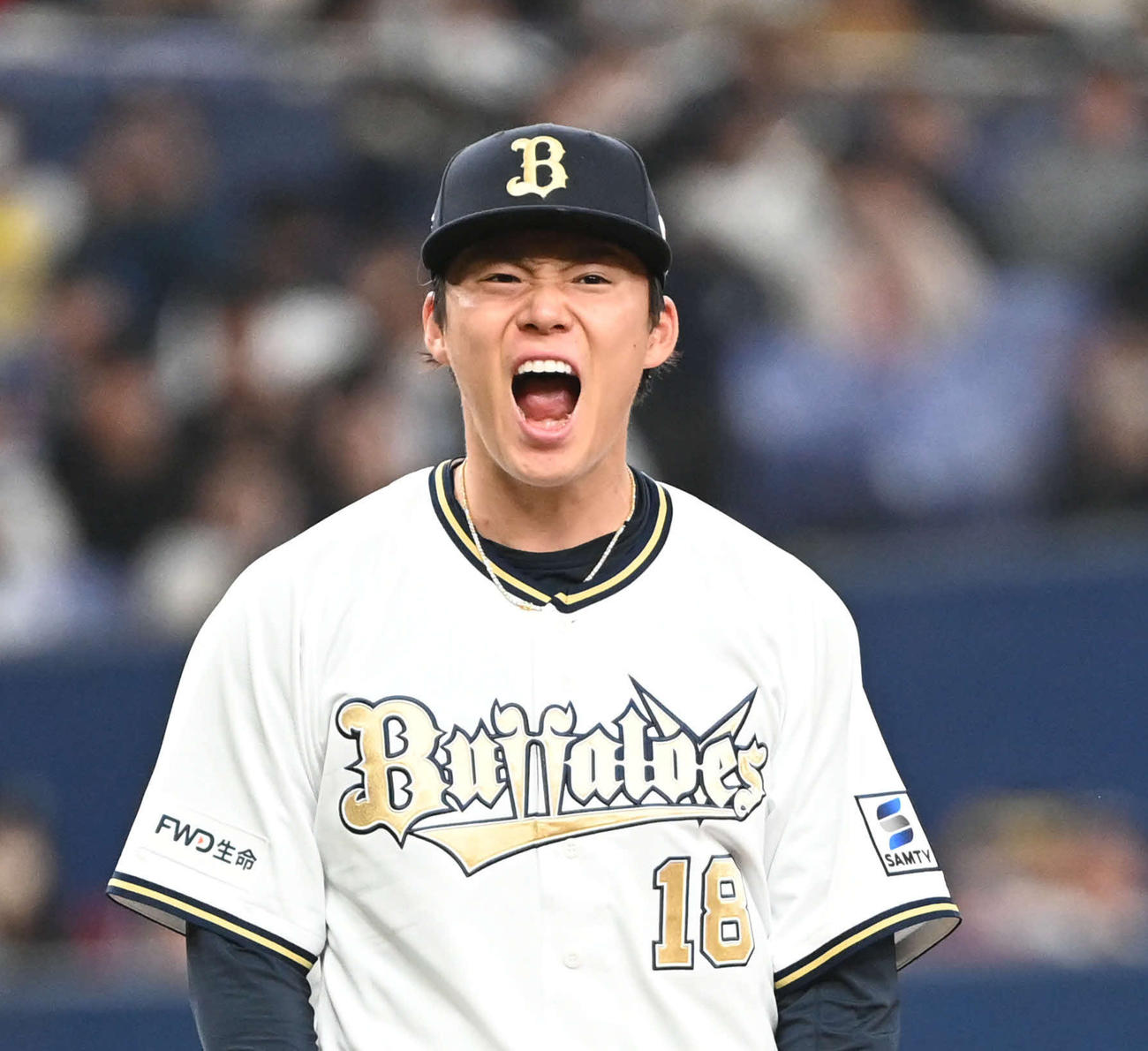 オリックス対ソフトバンク　6回表ソフトバンク2死一塁、栗原を見逃し三振に抑え大きくほえる山本（撮影・和賀正仁）
