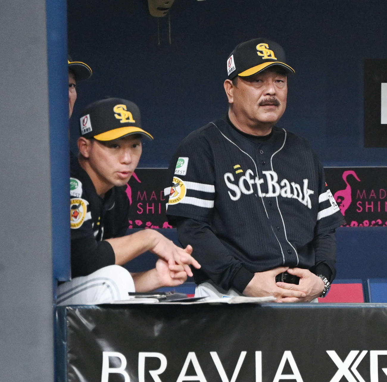 オリックス対ソフトバンク　ベンチから戦況を見るソフトバンク藤本監督（撮影・和賀正仁）
