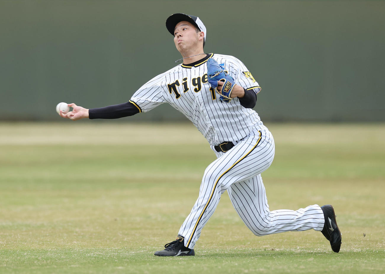 4月5日、鳴尾浜球場でキャッチボールする阪神青柳