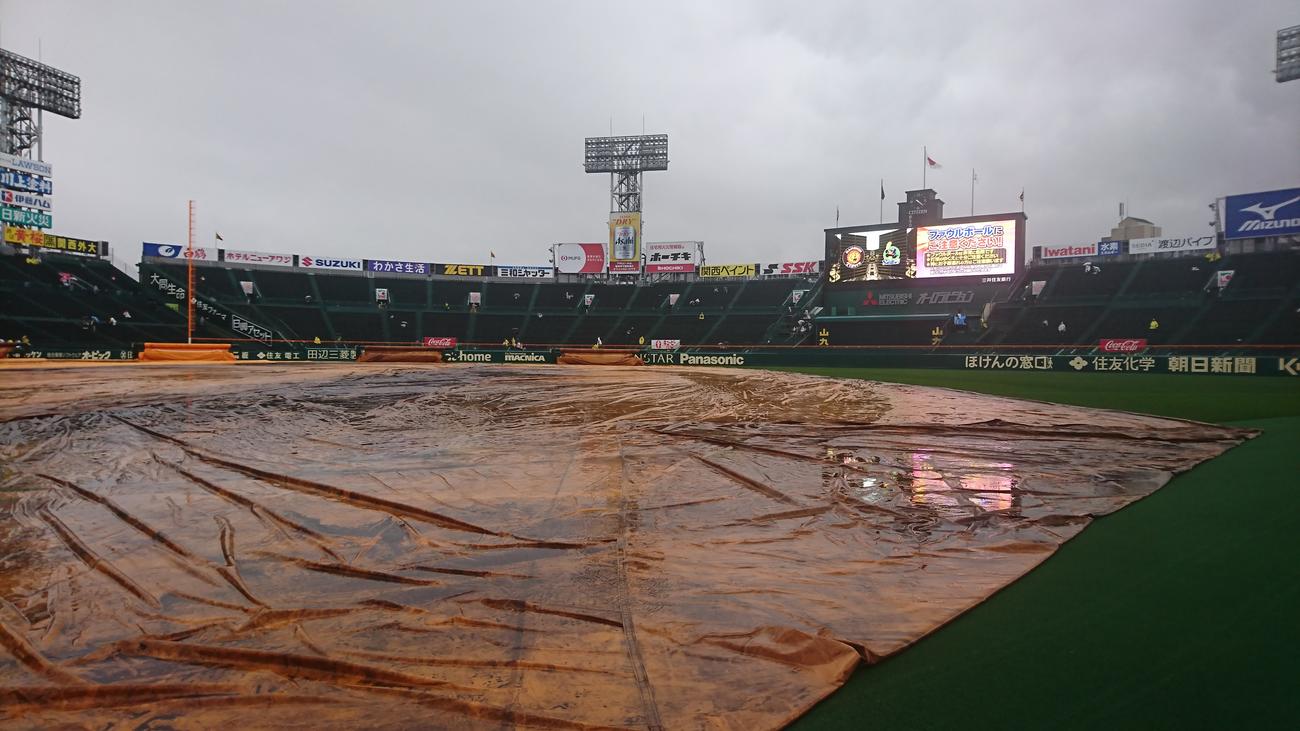 シートが敷かれる中、開門した甲子園球場(撮影・上田博志)