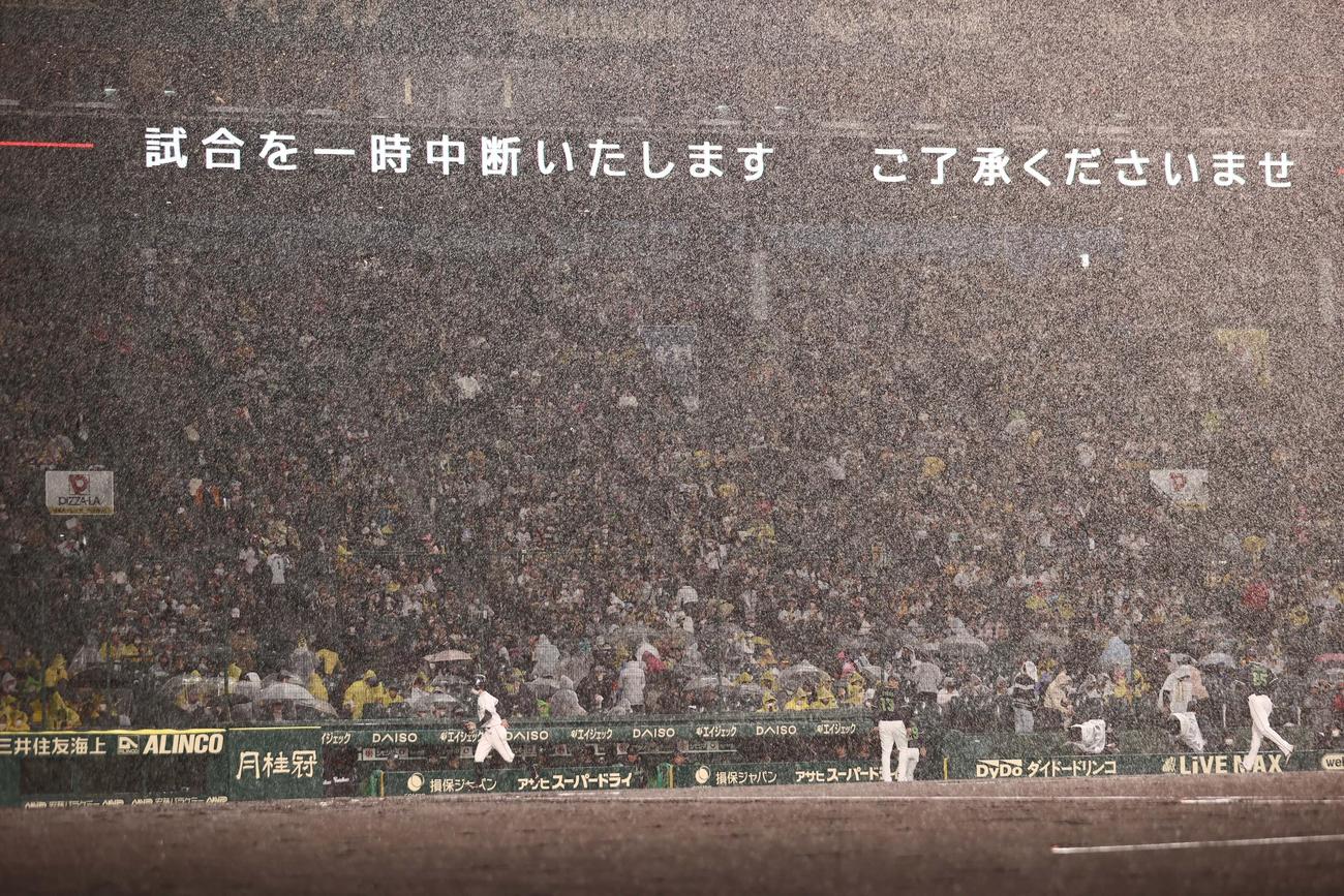 阪神対ヤクルト　1回裏阪神2死一塁、大雨で中断となりベンチに引き揚げるヤクルトナイン（撮影・上田博志）