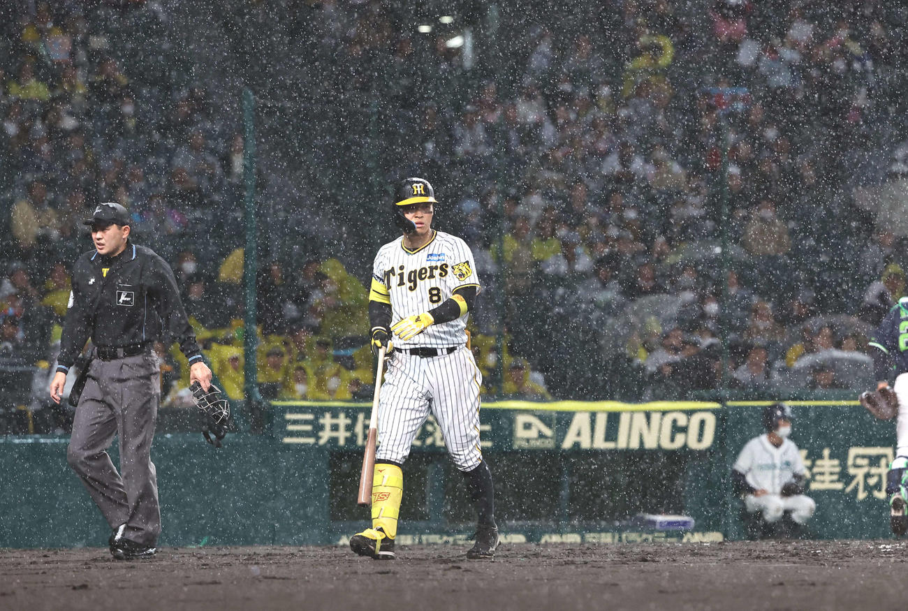 1回裏阪神2死一塁、大雨で中断となりベンチに引き揚げる佐藤輝（撮影・上田博志）