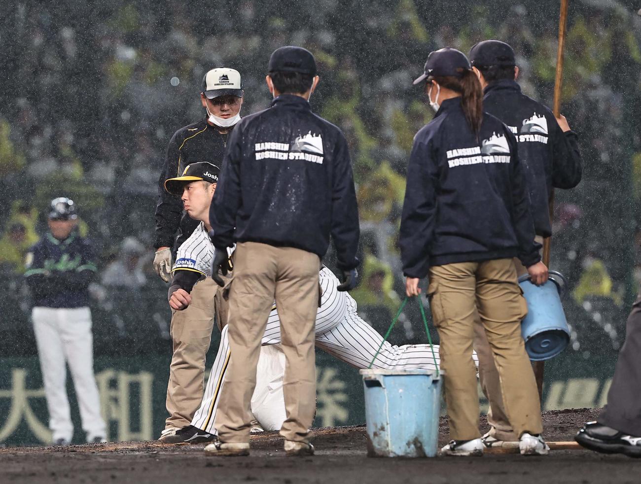 阪神対ヤクルト　青柳は整備されたマウンドで投球練習をする（撮影・上田博志）