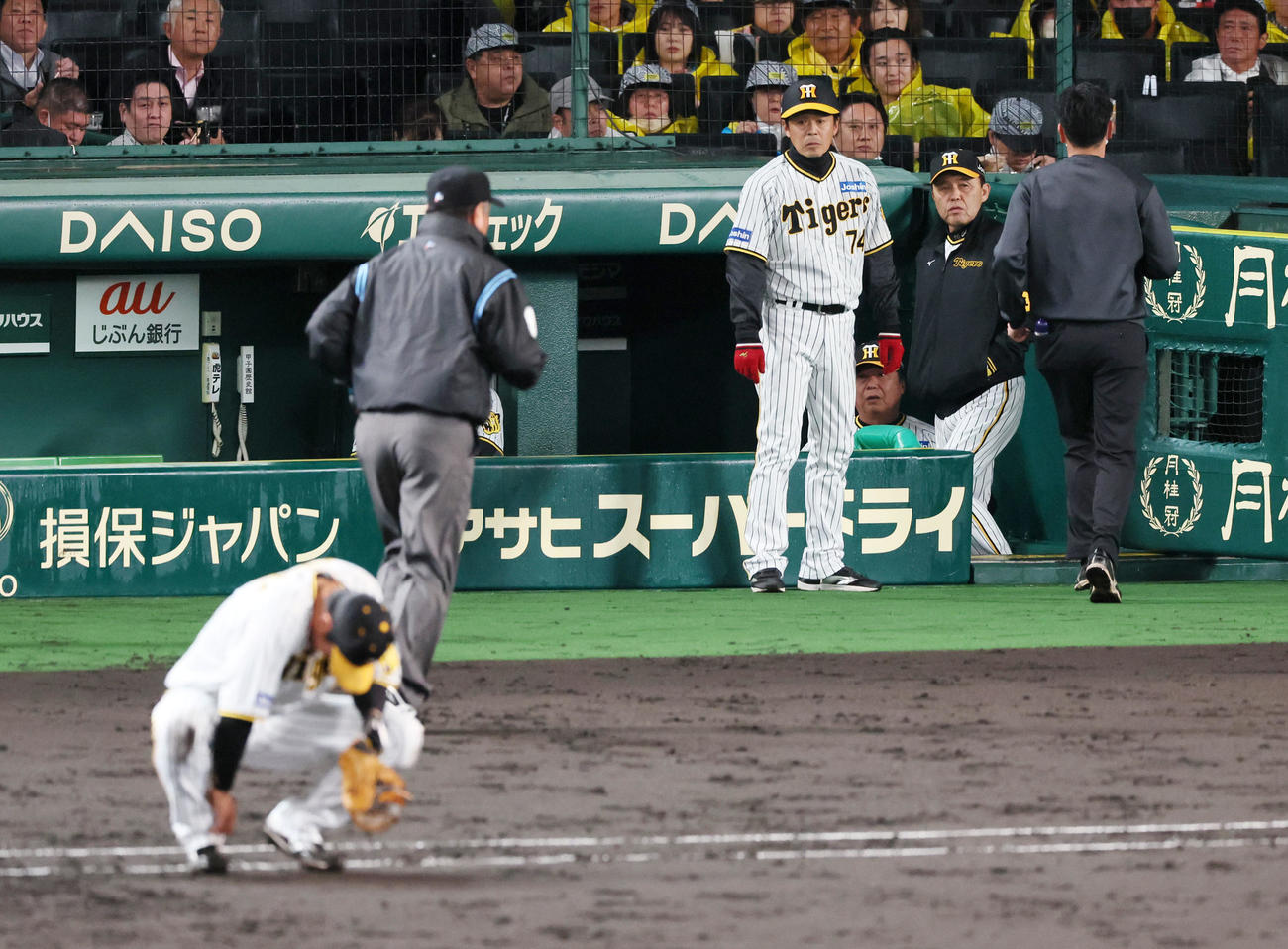 阪神対ヤクルト　5回表ヤクルト1死、サンタナの遊内野安打で一塁駆け込みのとき大山（左）の左足と接触し、ベンチで心配そうな表情で見守る岡田監督（撮影・加藤哉）