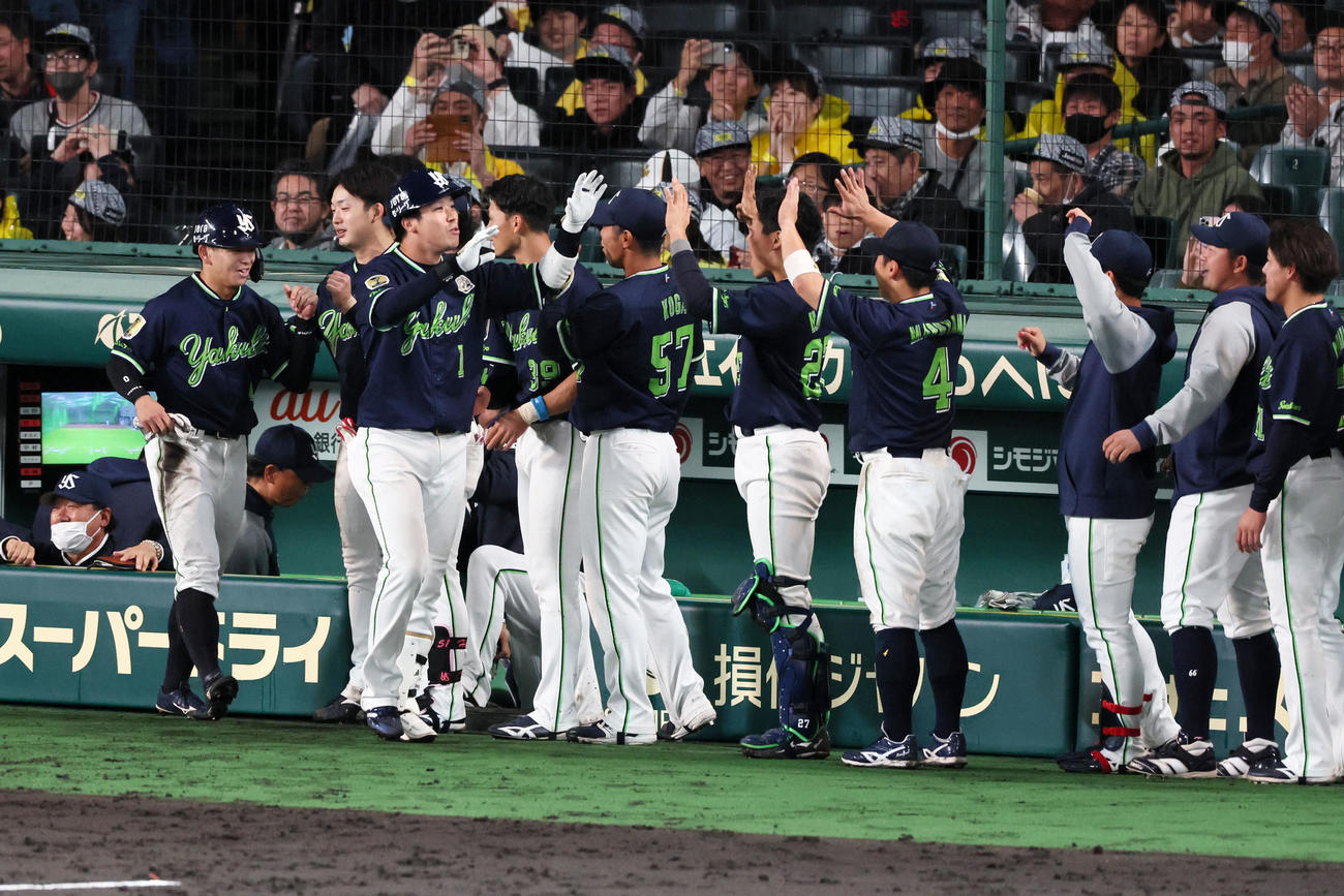 阪神対ヤクルト　8回表ヤクルト1死一塁、山田は中越え勝ち越し2点本塁打を放ち、ナインとハイタッチ（撮影・加藤哉）