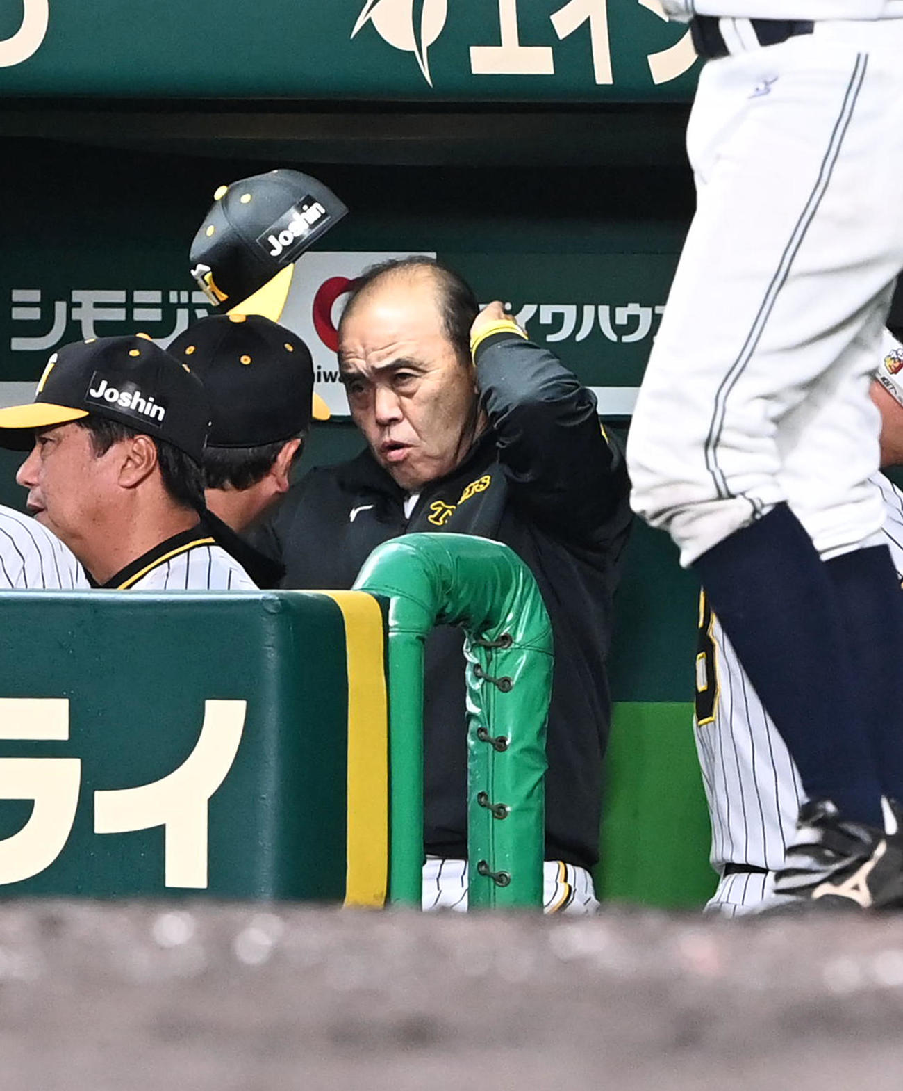 阪神対ヤクルト　8回、ベンチで厳しい表情を見せる岡田監督（撮影・前岡正明）