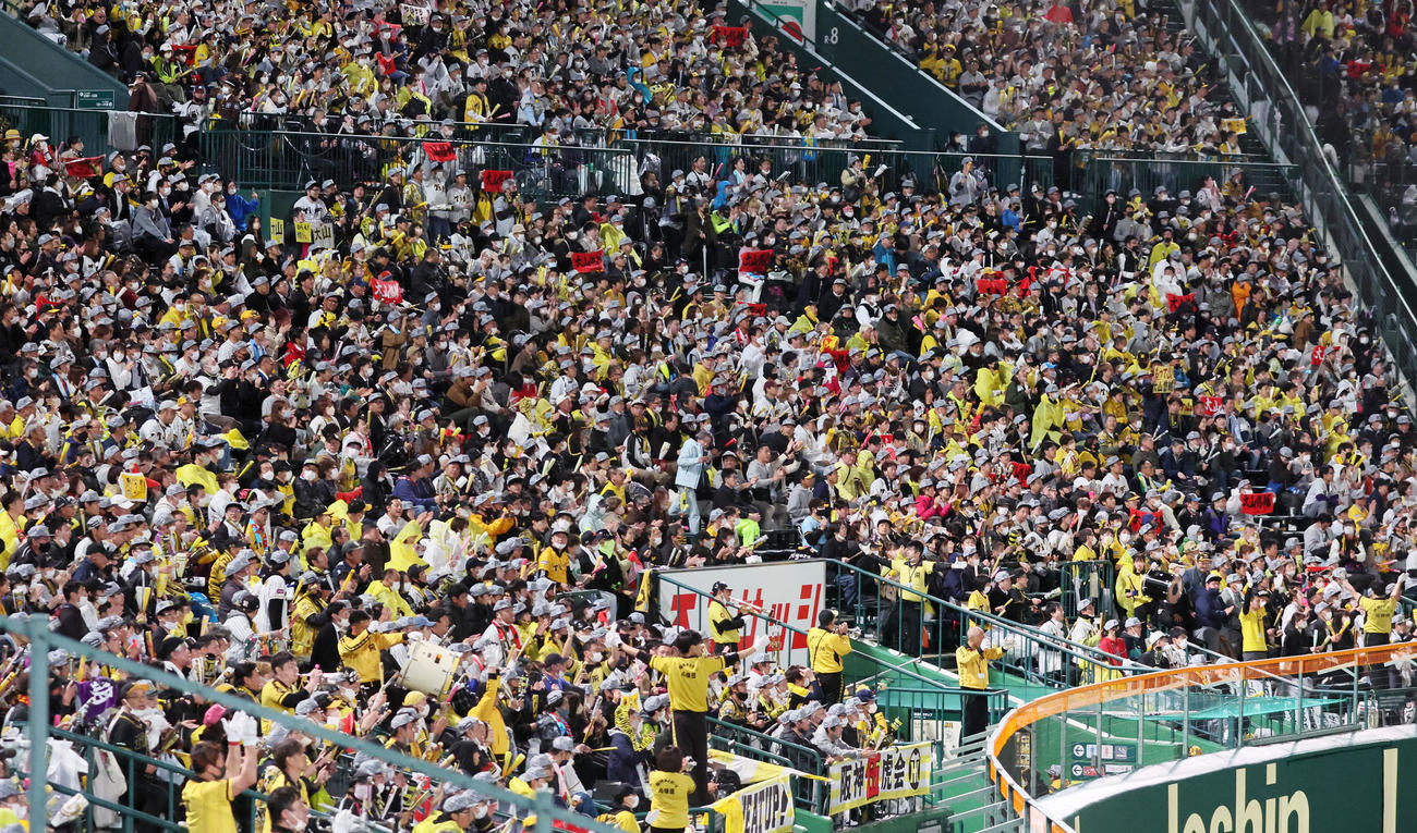 阪神対ヤクルト　9回裏、声援を送る阪神ファン（撮影・加藤哉）