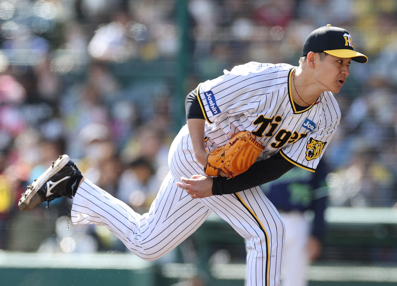 阪神対ヤクルト　6回無失点と好投した阪神大竹（撮影・清水貴仁）