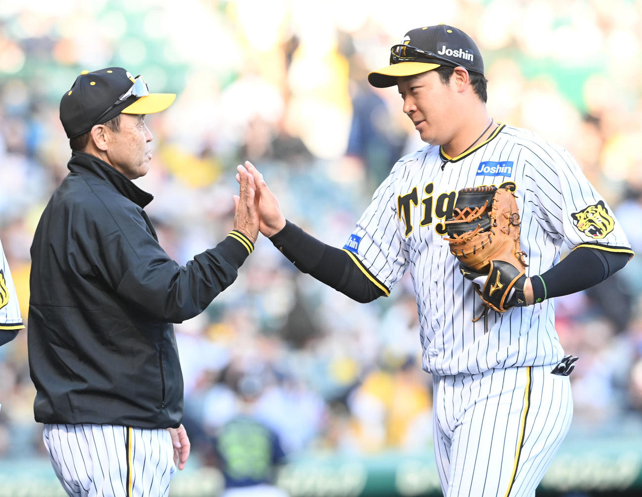 阪神対ヤクルト　大山（右）を迎える岡田彰布監督（撮影・前岡正明）