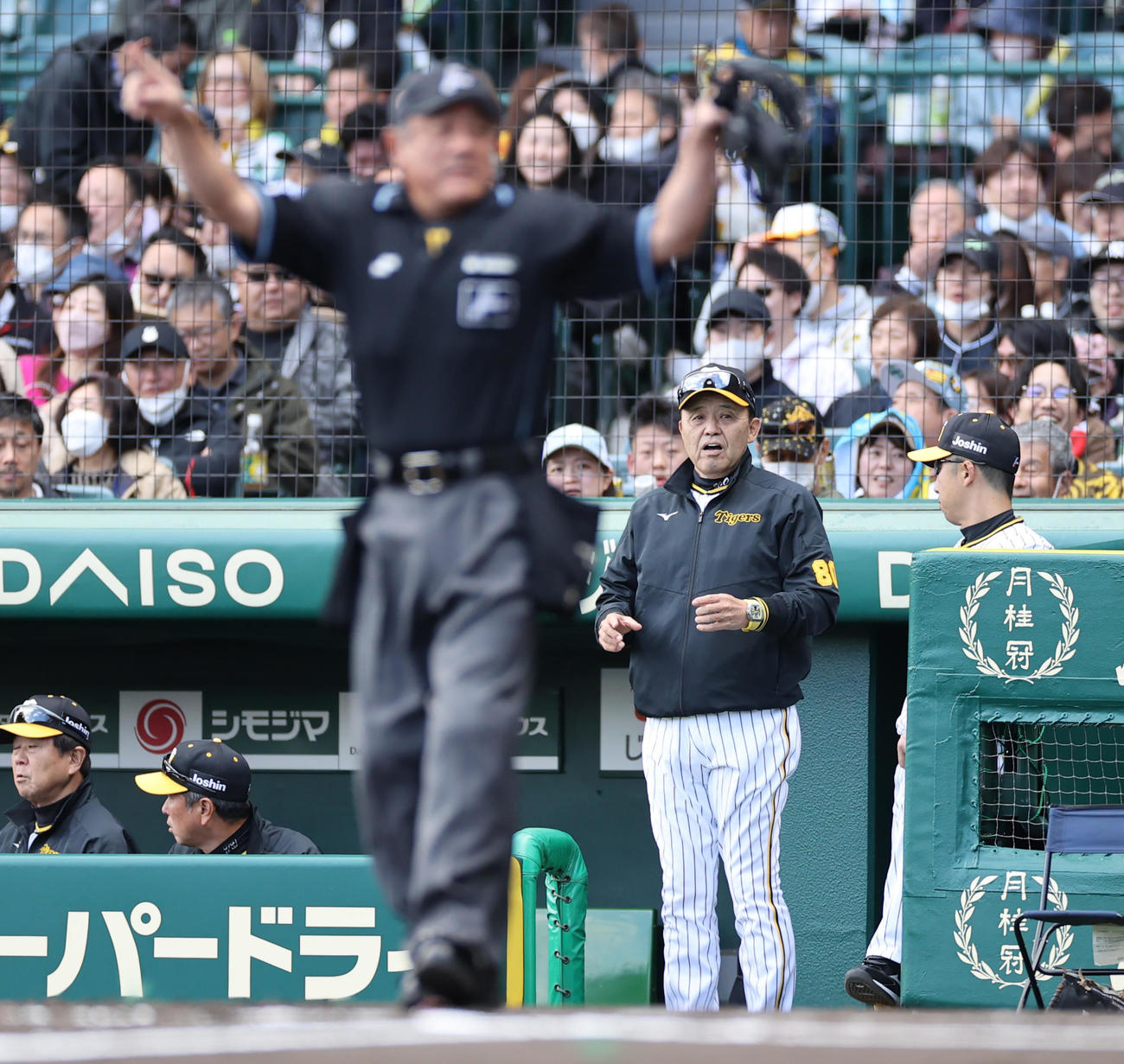 阪神対ヤクルト　1回裏阪神1死二塁、ノイジーの打球は右前に落ちたように見たが右翼手が捕球したとアウト判定、阪神岡田監督はすかさずリプレー検証を要求する。結果は覆りセーフ（撮影・清水貴仁）