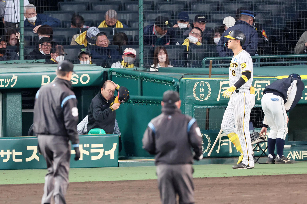 阪神対ヤクルト　ヤクルトと引き分けグラウンドへ向かう岡田監督。右はベンチへ引き揚げる佐藤輝（撮影・加藤哉）