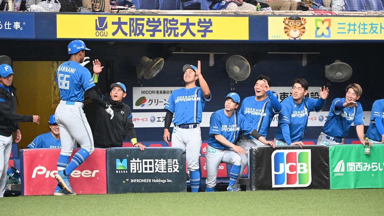オリックス対日本ハム　3回表日本ハム無死、左越え本塁打を放ちナインとタッチする万波（撮影・和賀正仁）