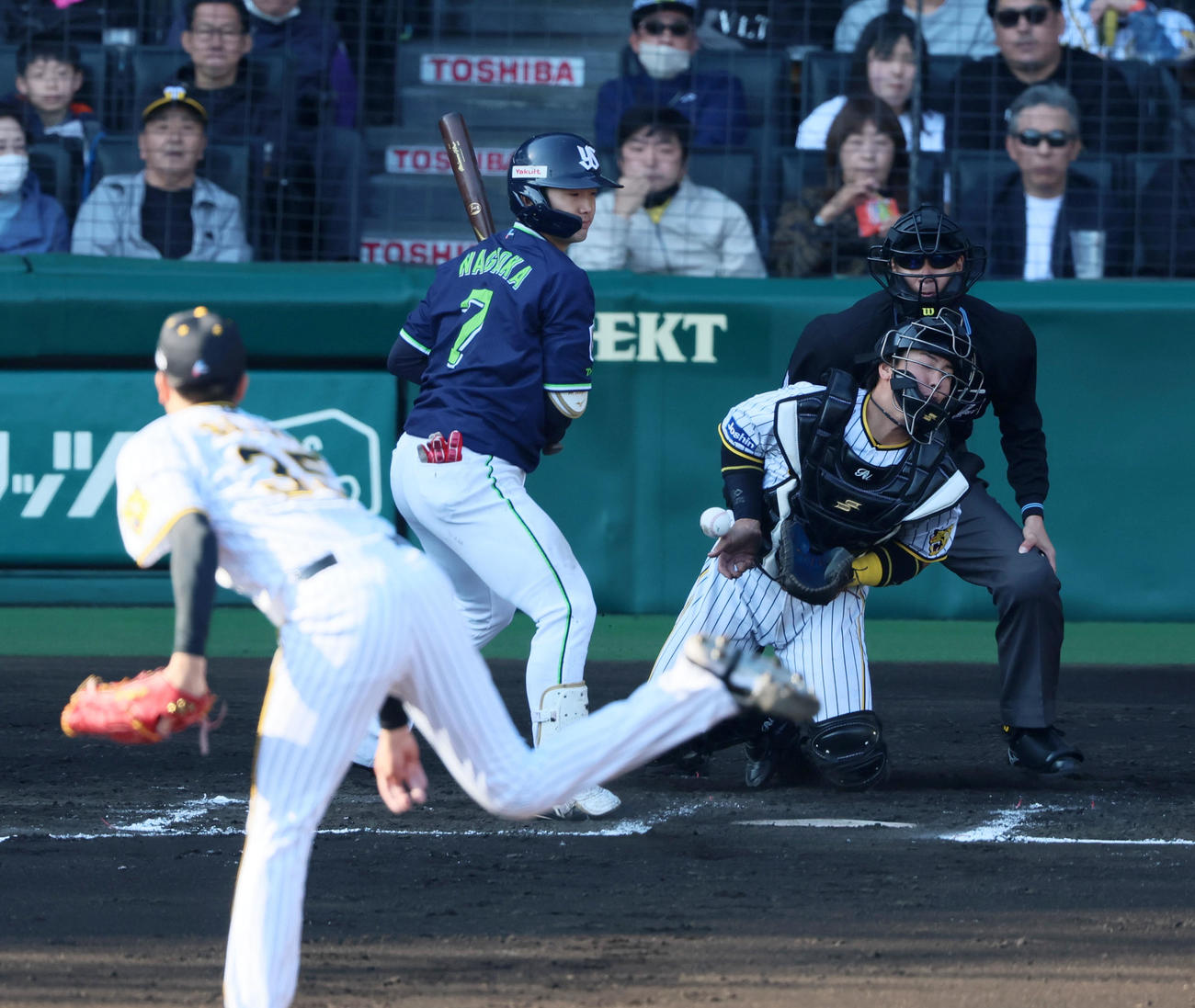阪神対ヤクルト　7回表ヤクルト1死一、二塁、打者長岡の時、梅野は才木の投球を右手に受ける（撮影・加藤哉）