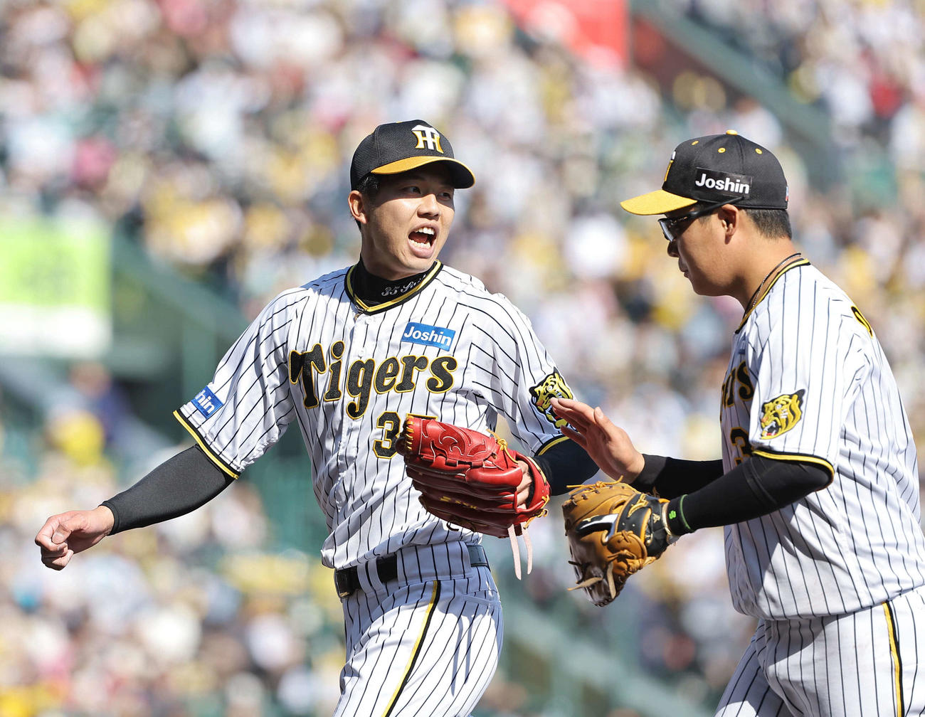 阪神対ヤクルト　4回表ヤクルト2死二、三塁、才木（左）は中村を投ゴロに打ち取り、大山の祝福に応える（撮影・上田博志）