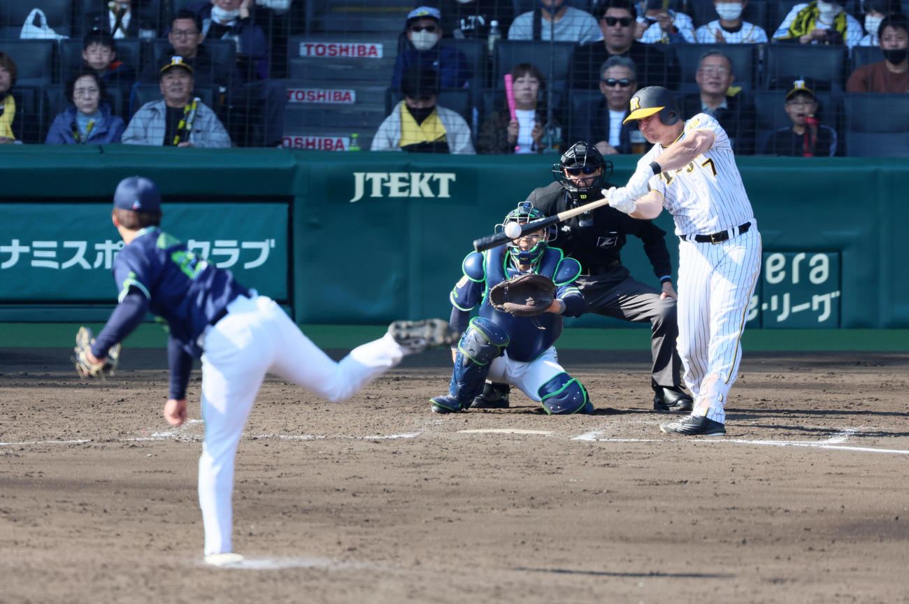 阪神対ヤクルト　5回裏阪神2死、ノイジーは左前打を放つ。投手は吉村（撮影・加藤哉）