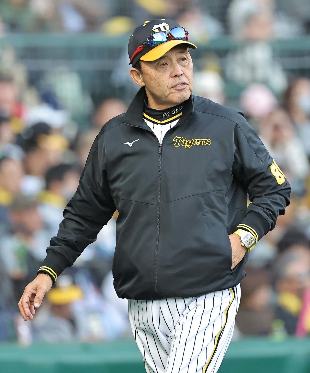 阪神対ヤクルト　選手交代を告げベンチに引き揚げる岡田監督（撮影・上田博志）