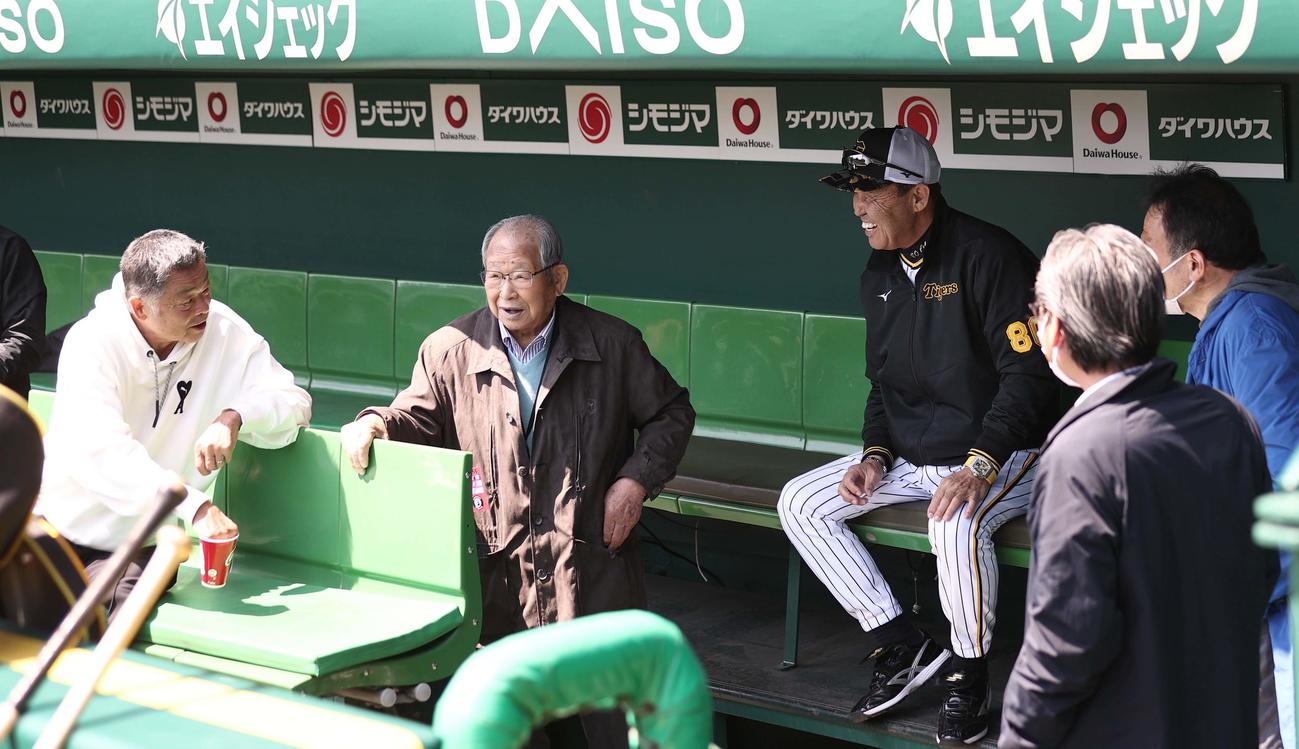 4月9日、吉田義男氏（中央左）と談笑する左から川藤幸三阪神OB会長、一人おいて岡田彰布監督、嶌村聡球団本部長、青い服は本誌寺尾記者
