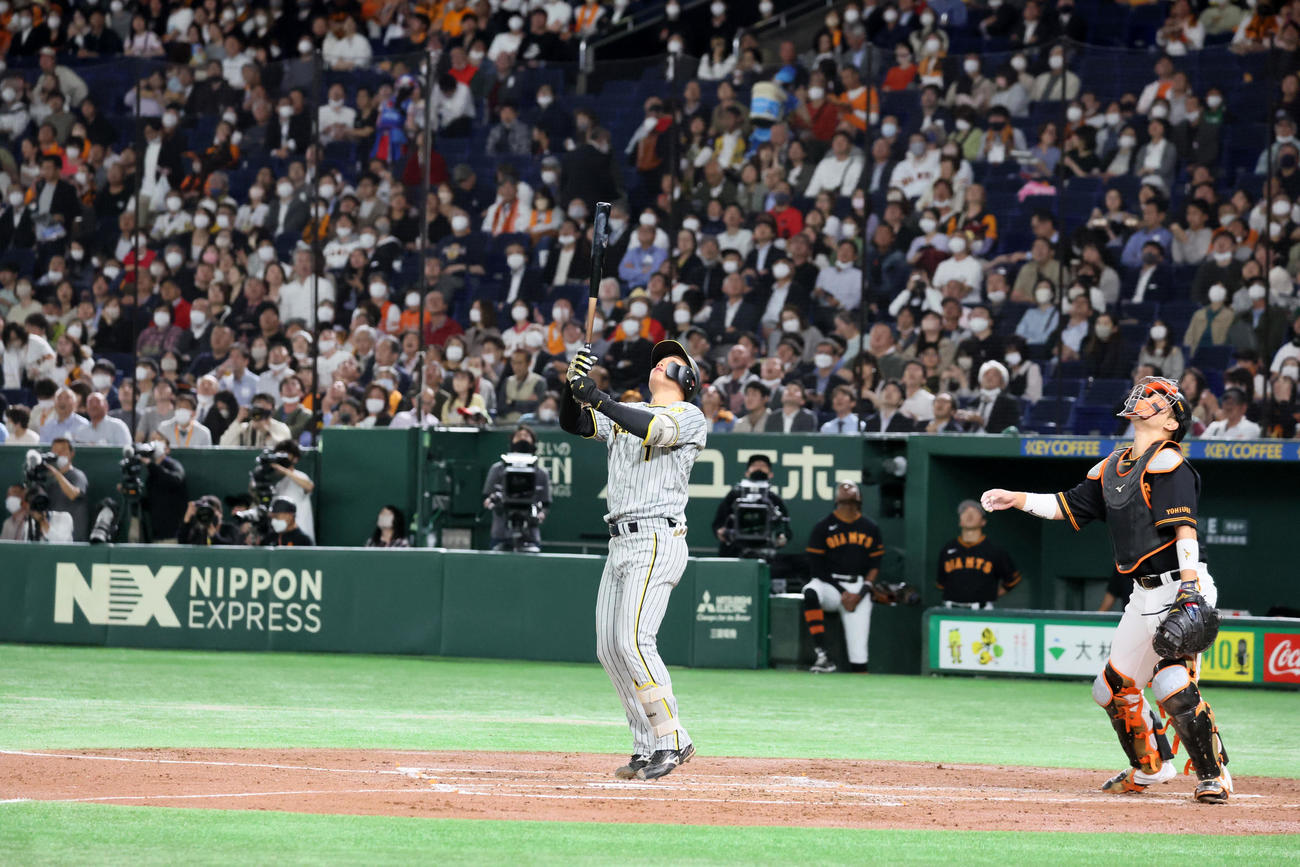 巨人対阪神　2回表阪神2死、森下は三邪飛を打ち上げる。捕手は大城（撮影・加藤哉）
