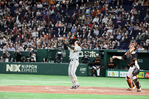 巨人対阪神　2回表阪神2死、森下は三邪飛を打ち上げる。捕手は大城（撮影・加藤哉）