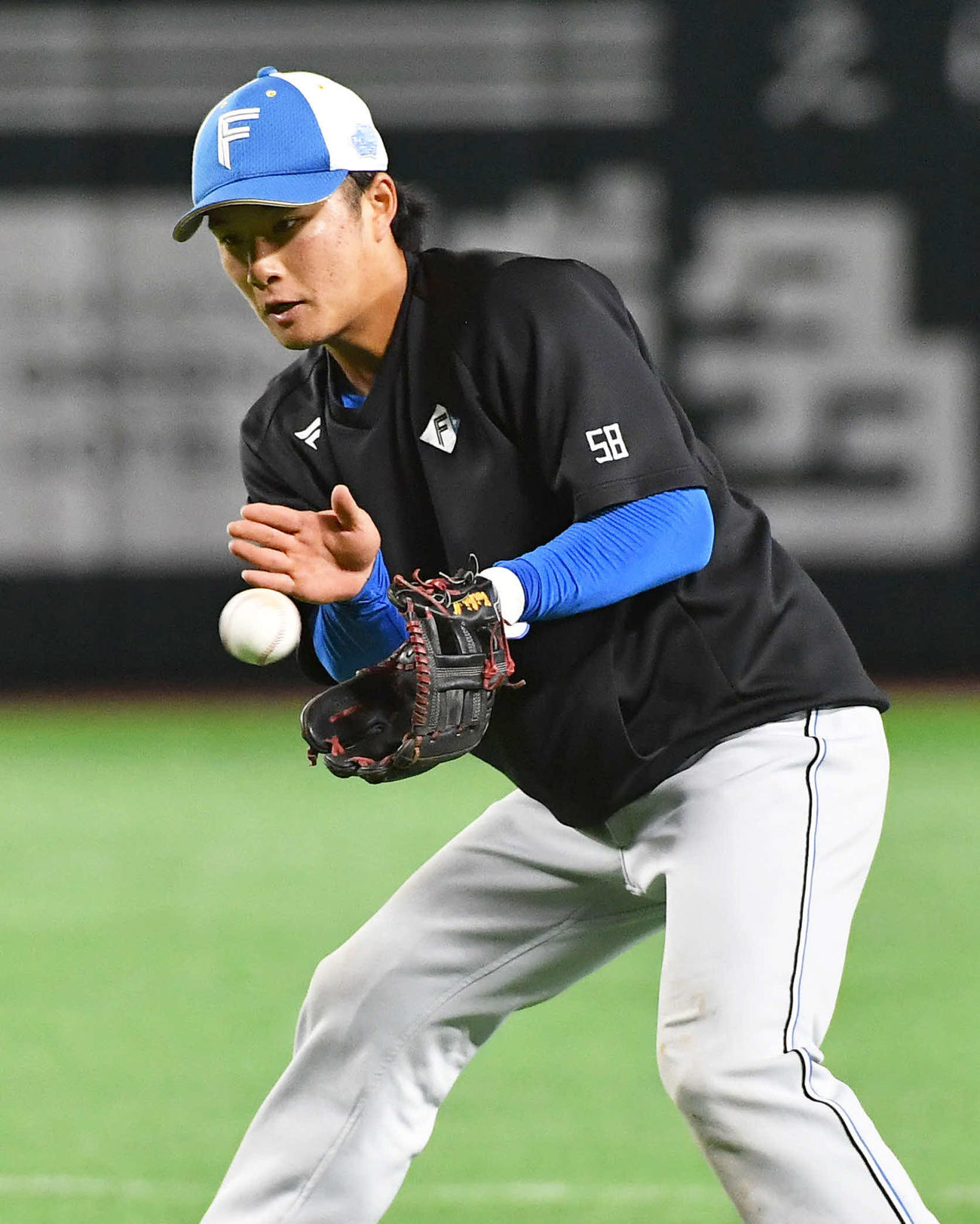 ソフトバンク対日本ハム　試合前、ノックを受ける日本ハム奈良間（撮影・岩下翔太）
