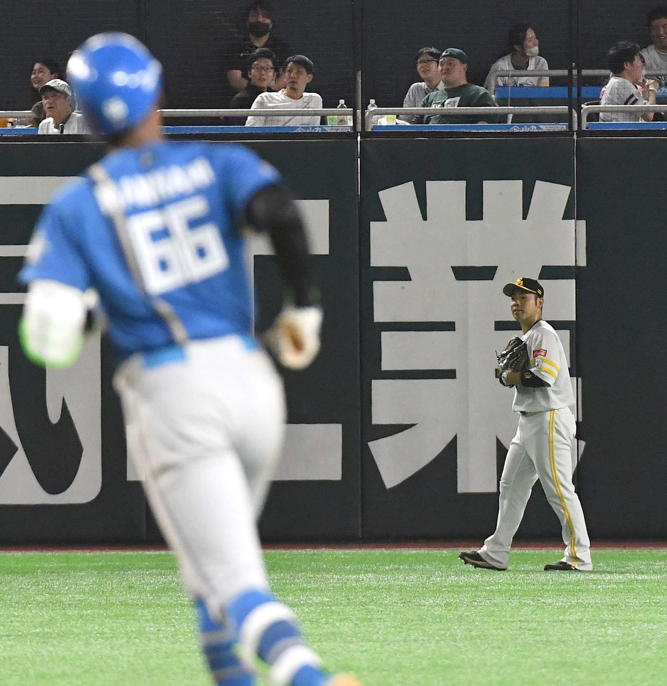 ソフトバンク対日本ハム　4回表日本ハム2死一塁、左中間へ同点2ラン本塁打を放った万波（手前）を見つめる左翼手の近藤（撮影・岩下翔太）