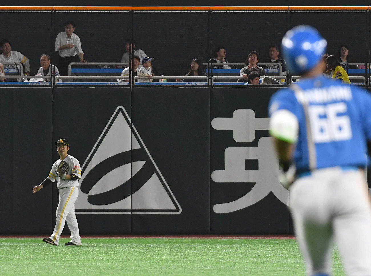 ソフトバンク対日本ハム　4回表日本ハム2死一塁、左中間へ同点2ラン本塁打を放った万波（手前）を見つめる左翼手の近藤（撮影・岩下翔太）