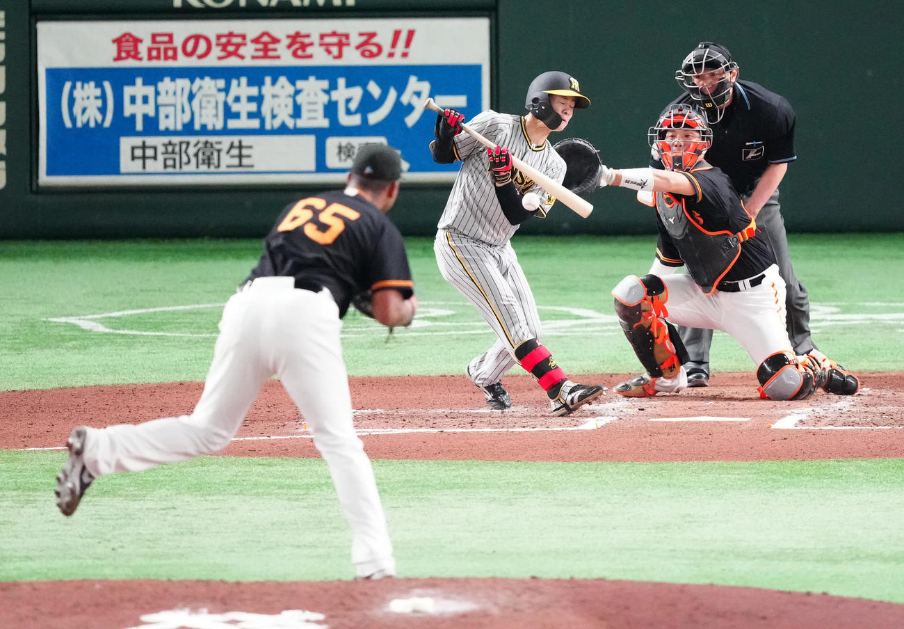 巨人対阪神　6回表阪神無死二塁、送りバントを決める中野。投手メンデス（撮影・江口和貴）