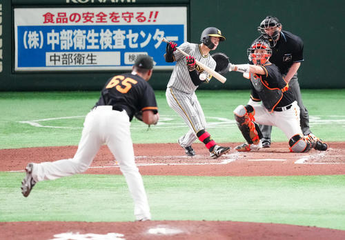 巨人対阪神 6回表阪神無死二塁、送りバントを決める中野。投手メンデス(撮影・江口和貴)